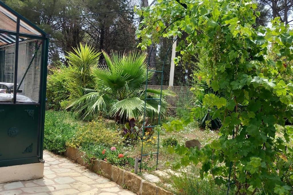 Villa Magali Grande Terrasse Vue Mer, Jardin, Proche Port La Ciotat Eksteriør bilde