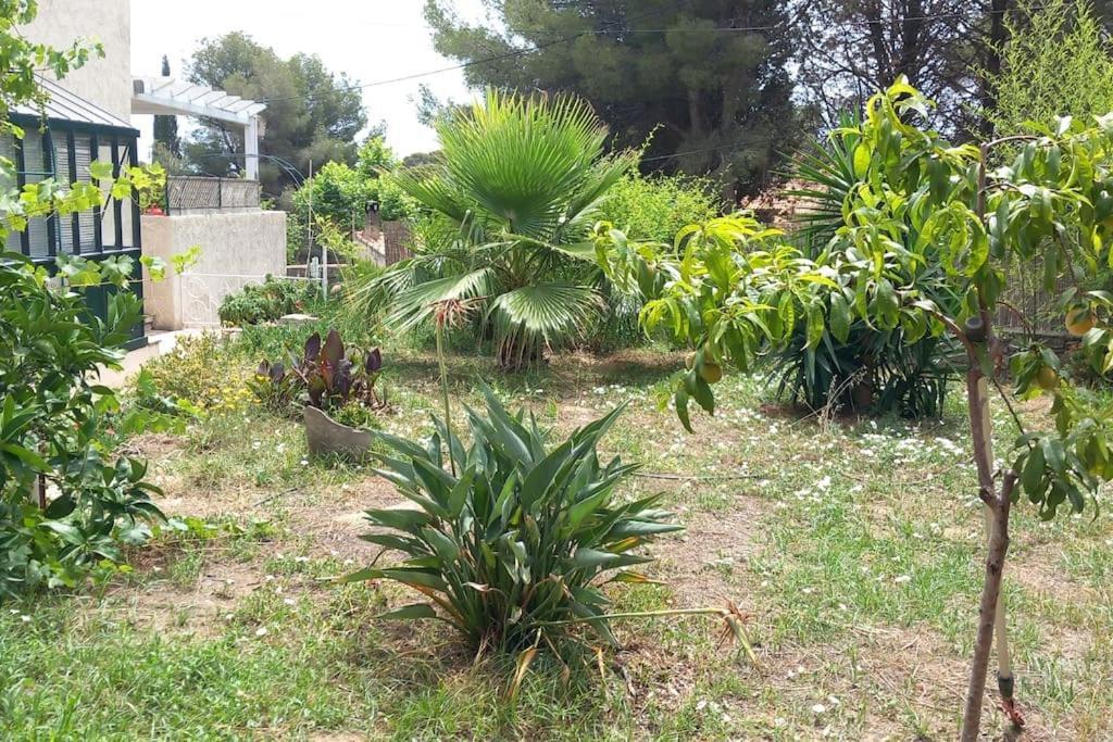 Villa Magali Grande Terrasse Vue Mer, Jardin, Proche Port La Ciotat Eksteriør bilde