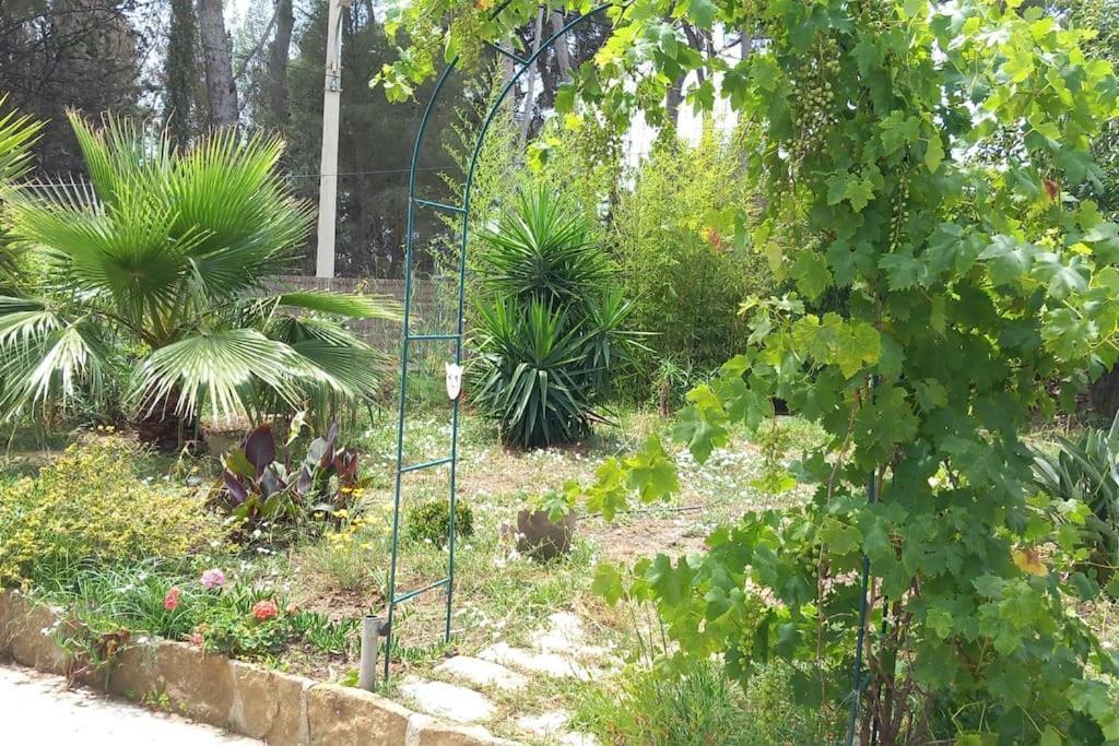 Villa Magali Grande Terrasse Vue Mer, Jardin, Proche Port La Ciotat Eksteriør bilde