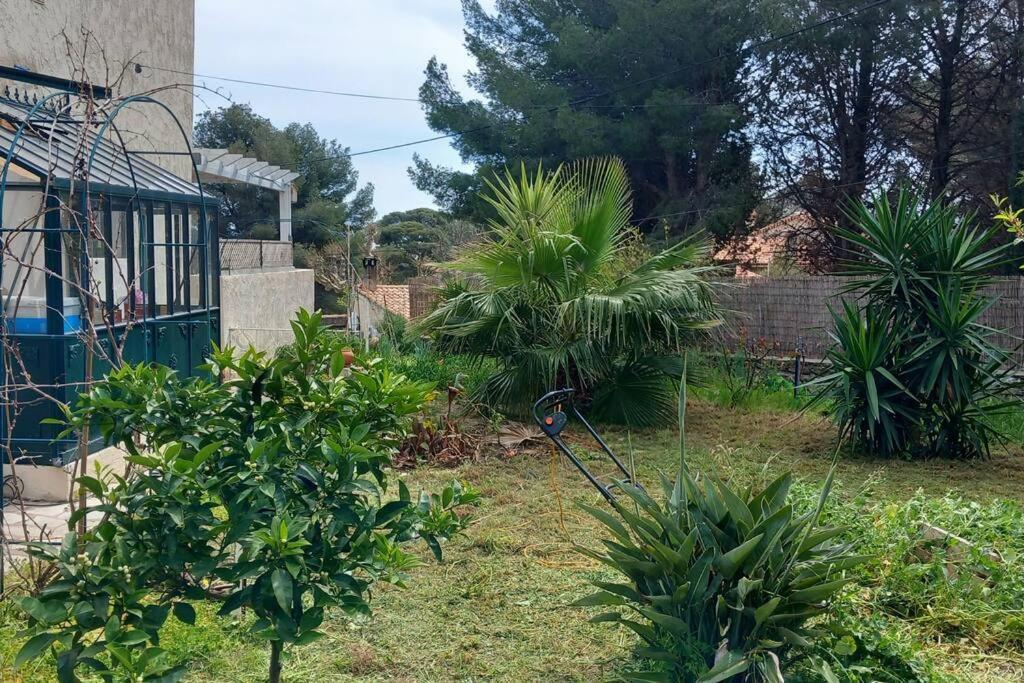 Villa Magali Grande Terrasse Vue Mer, Jardin, Proche Port La Ciotat Eksteriør bilde